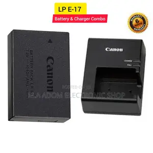 Canon LP-E17 Battery & Charger