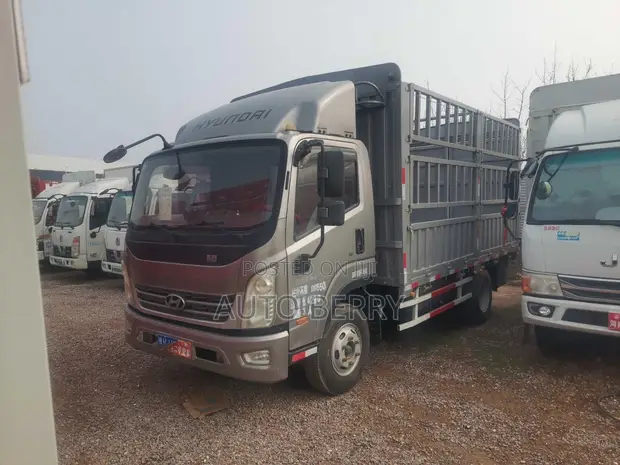 2021 Hyundai Hongtu 500 Commercial Truck - 1