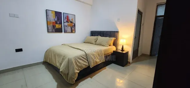Furnished 1-Bedroom Apartment in Dzorwulu for Rent - 1