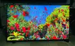 Samsung 43" QLED Smart 4K Digital Satellite TV (2024 Model) - 2