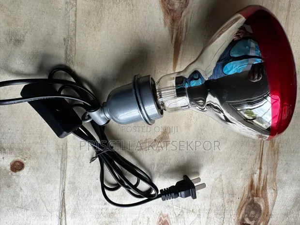 Brooding Bulb and Holder - 1