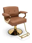 Executive Saloon Chair - 1