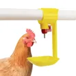 Nipple Drinker - Poultry Equipment - 1