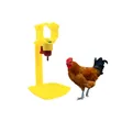 Nipple Drinker - Poultry Equipment - 2