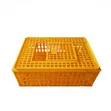 Transporting Cage - Brand New - 1