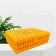 Transporting Cage - Brand New - 4