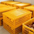 Transporting Cage - Brand New - 5