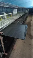 Poultry Waste Tray - 70cm x 70cm - 3