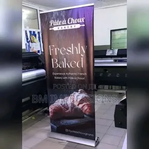 Pull-Up Banner (80x200cm)