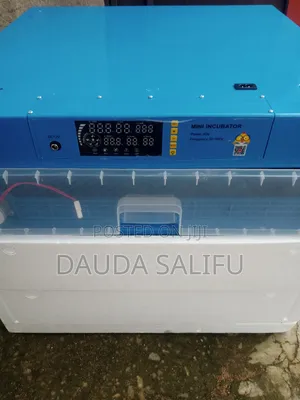 300 Egg Capacity Dual Power Incubator