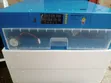 300 Egg Capacity Dual Power Incubator - 2
