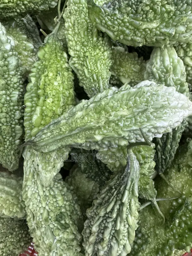 Fresh Bitter Melon - 1