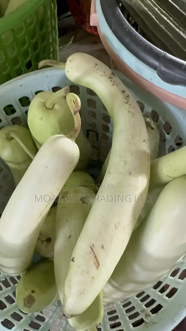 Fresh Snake Gourd - 1