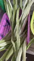 Fresh Snake Gourd - 2