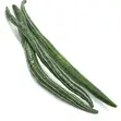 Fresh Snake Gourd - 4