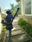 Professional Fumigation Services - 2