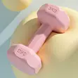3kg Set 2pcs Women's Full Body Workout Dumbbells - 1