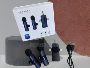 3-in-1 Wireless Microphone System