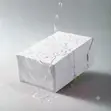 Premium White Polymailer Mailing Bags - 5