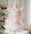 Angel Ball Gowns - 2