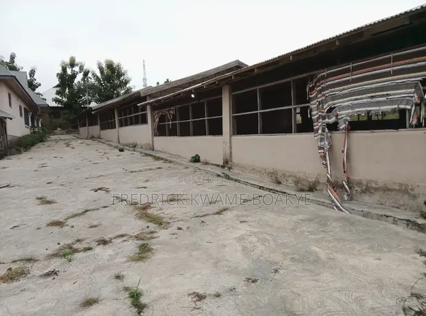 Poultry Farm for Sale at Offinso Daaso - 1