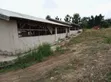 Poultry Farm for Sale at Offinso Daaso - 5