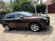 Lexus Executive Sedan for Rent - 5