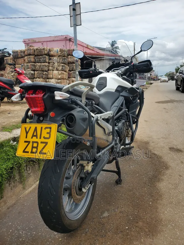 Triumph Tiger 800cc Dual Sport Motorcycle - 1