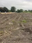 Land for Sale in Somanya, DVLA Area - 3