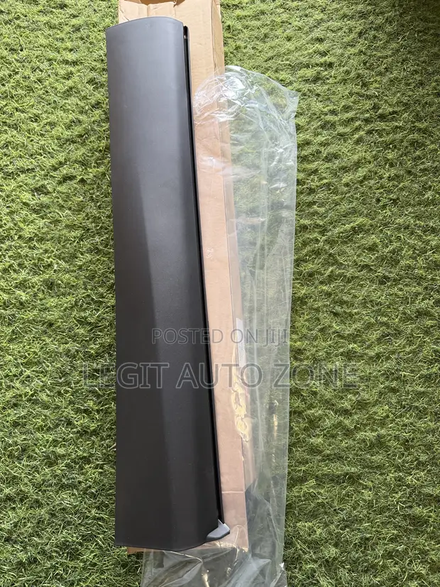 Mitsubishi Outlander Door Moulding (2022-2025) - 1