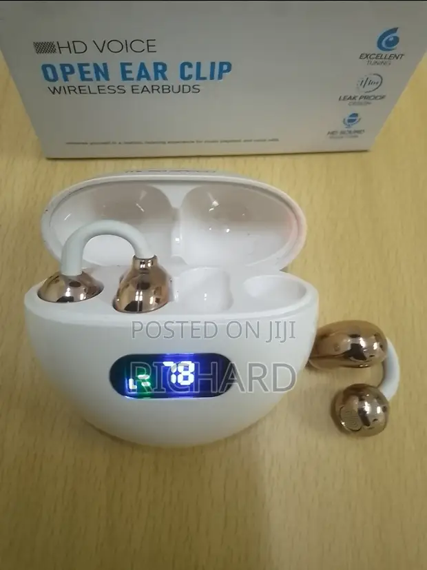 TWS Wireless Earbuds with Bluetooth 5.3 and LED Power Bank Case - 1