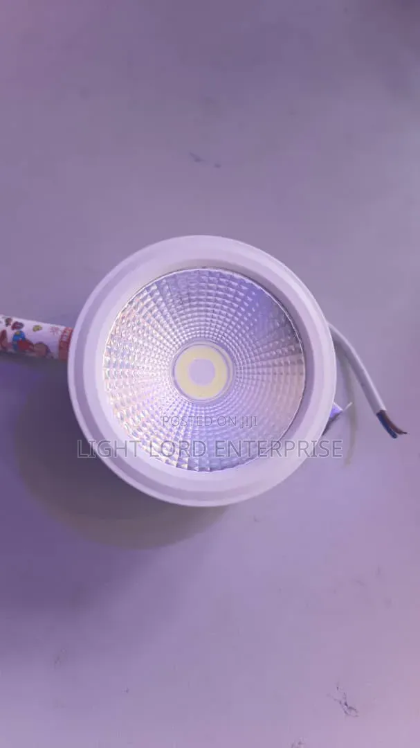 Mizzy Surface LED Download Light - 1