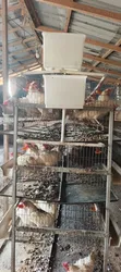H-Type Battery Cages (3 Tiers, 120 Capacity) - 3