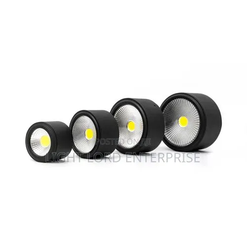 Amerlux Longevity Spot Light Surface - 1