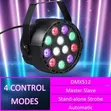 Vibrant 6m LED Mini Par Light - 2