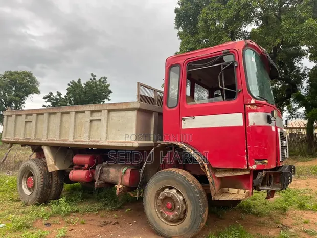 MAN Tipper Truck for Sale - 1