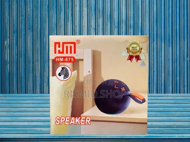 HM-875 Wireless Audio Speaker - 1