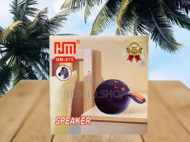HM-875 Mini Portable Wireless Speaker - 1