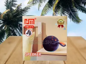 HM-875 Mini Portable Wireless Speaker