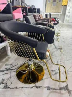 Brand New Salon Chair
