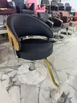 Brand New Salon Chair - 2