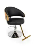Brand New Salon Chair - 5