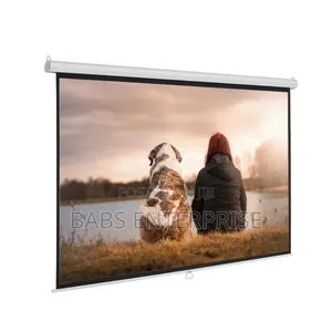 Burotika BW18-244 244cm x 244cm Wall Screen
