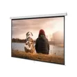 Burotika BW18-244 244cm x 244cm Wall Screen - 2