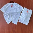 Premium Quality Plain T-Shirts - 2