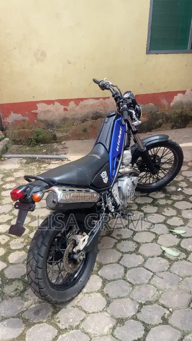 Yamaha 2015 Touring Motorcycle - 1