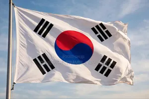 South Korea Tourist Visa Assistance