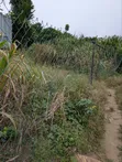 Legally Registered Land in Aburi Obosomase - 104ft² - 4