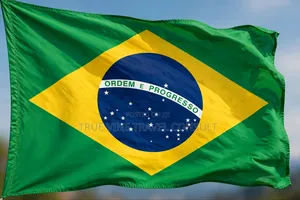 Brazil Tourist Visa Assistance