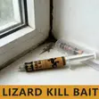 Wall Gecko/House Lizard Killing Gel Bait - 4